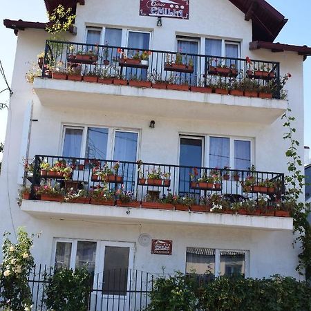 Hotel Casa Emilia Vatra Dornei Exterior foto