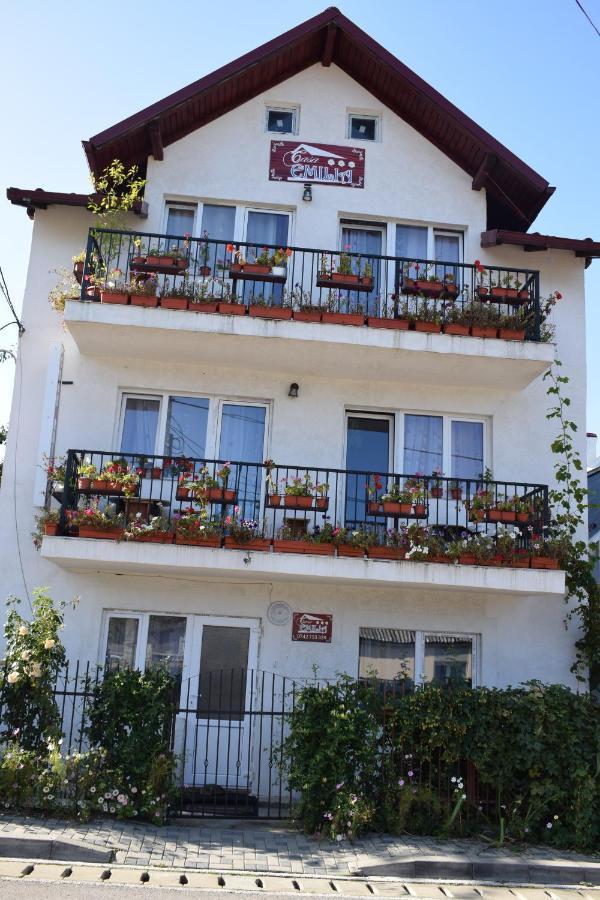 Hotel Casa Emilia Vatra Dornei Exterior foto