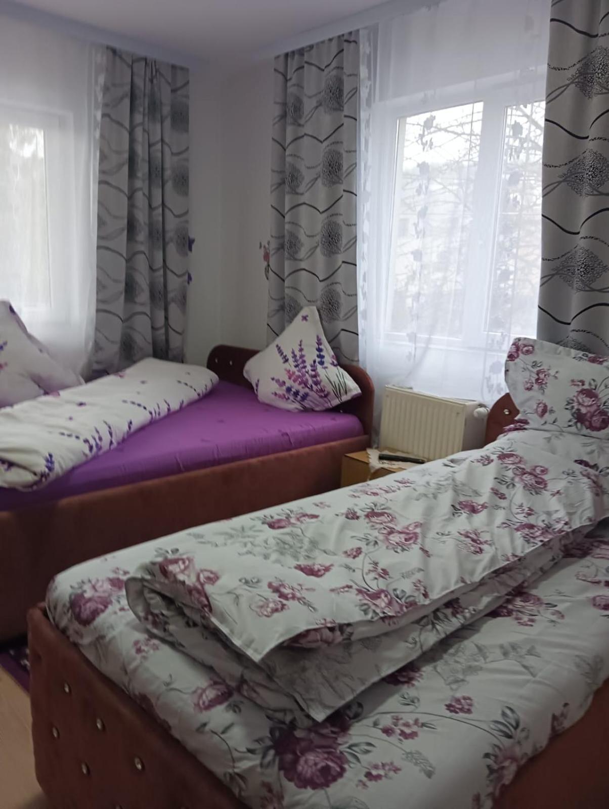 Hotel Casa Emilia Vatra Dornei Habitación foto
